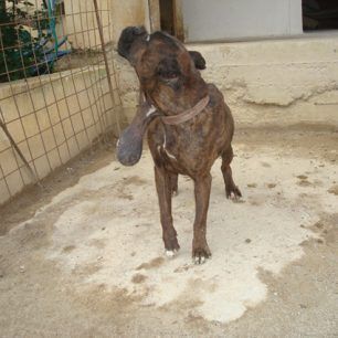xania (8)